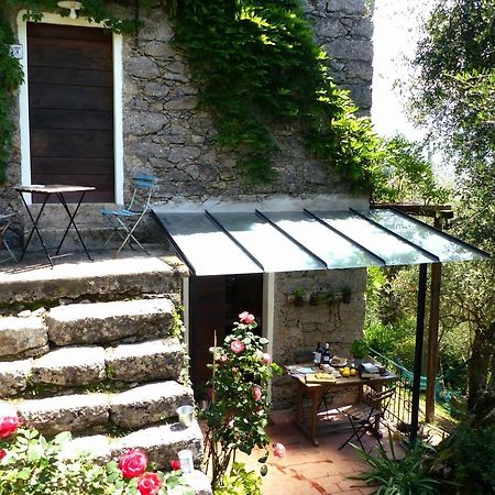 Il Giaggiolo Camaiore Exterior foto