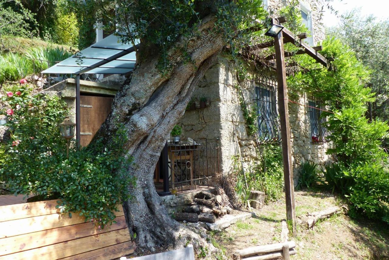 Il Giaggiolo Camaiore Exterior foto