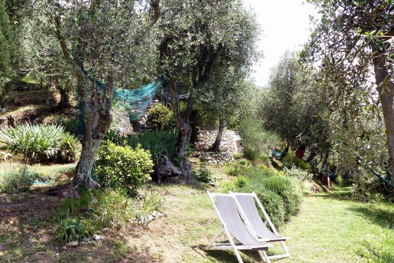 Il Giaggiolo Camaiore Exterior foto
