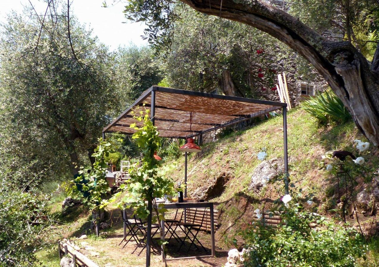 Il Giaggiolo Camaiore Exterior foto