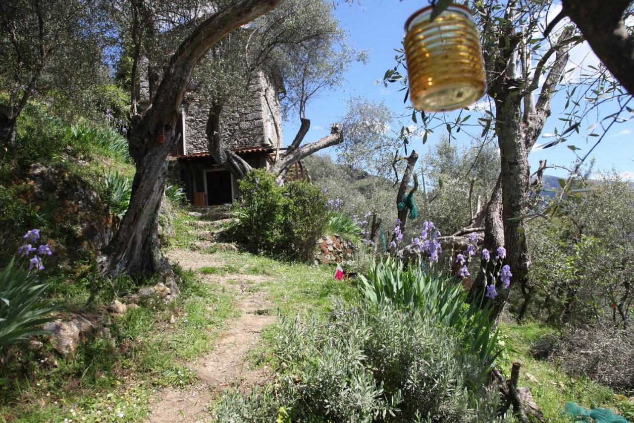 Il Giaggiolo Camaiore Exterior foto