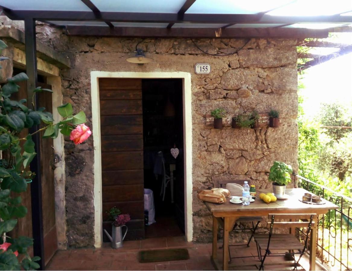 Il Giaggiolo Camaiore Exterior foto